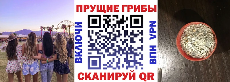 наркота  Циолковский  omg сайт  Псилоцибиновые грибы Cubensis 
